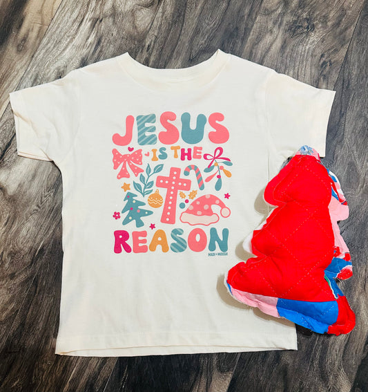 Jesus Is The Reason Youth Tee