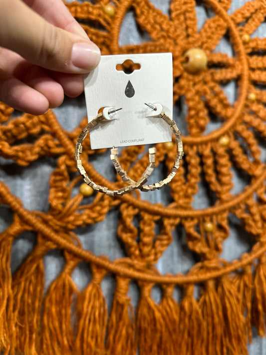 Payten Hoop Earrings